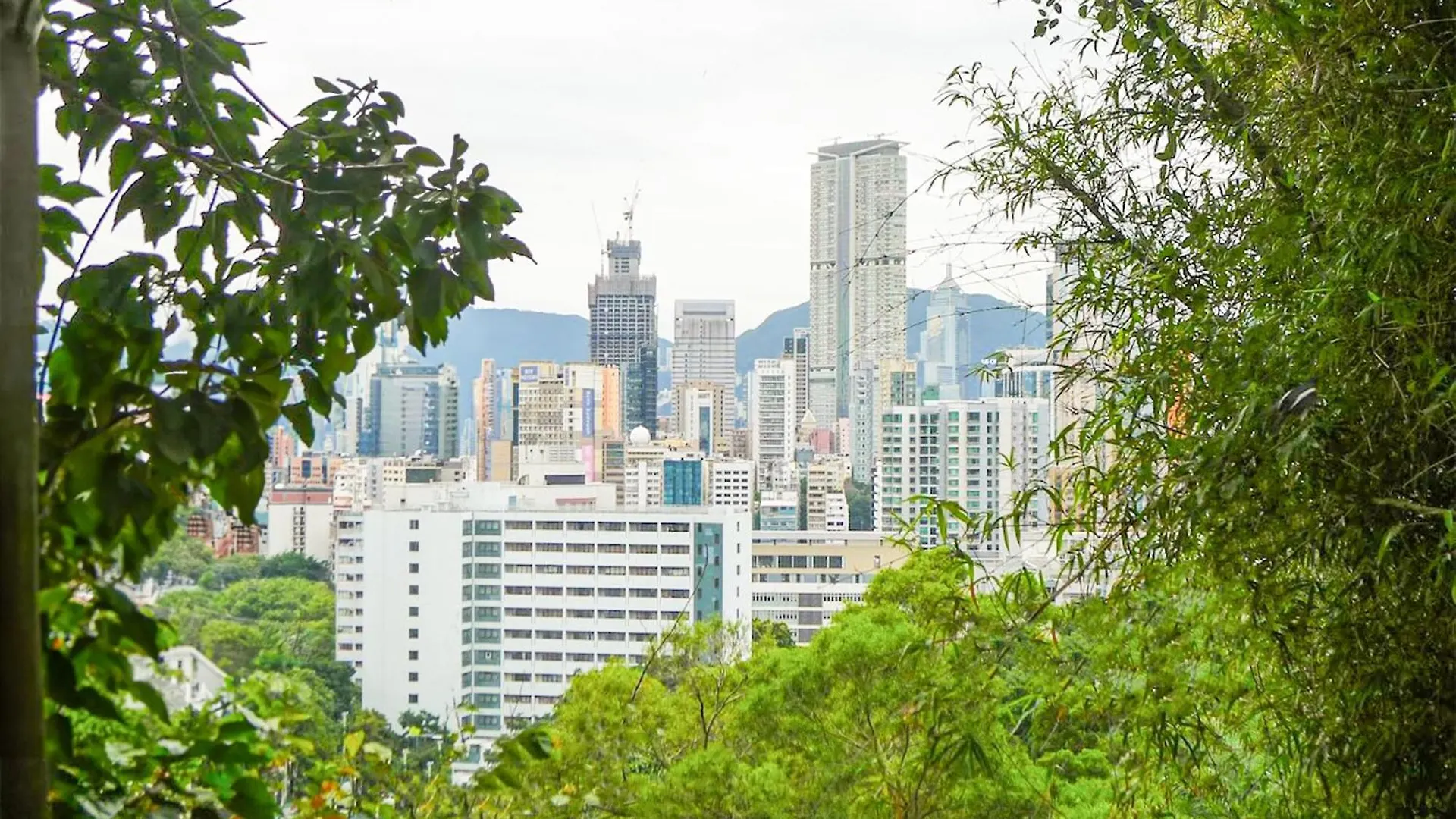 Urbanwood Hung Hom Hotel Hong Kong